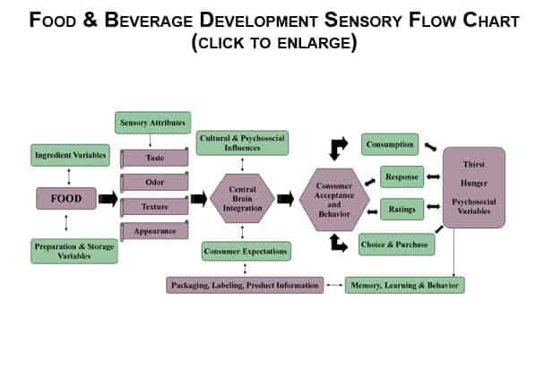 food product development flow chart