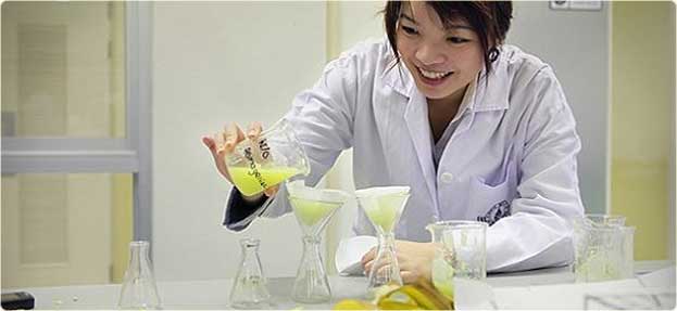 Food development steps and processes